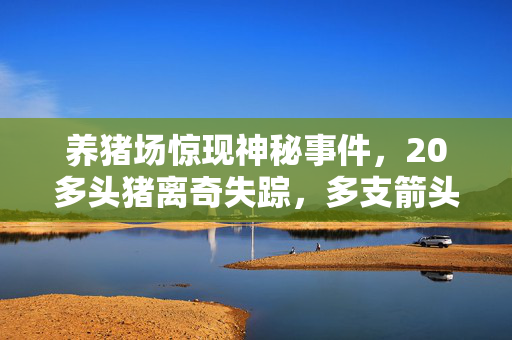 养猪场惊现神秘事件，20多头猪离奇失踪，多支箭头引恐慌