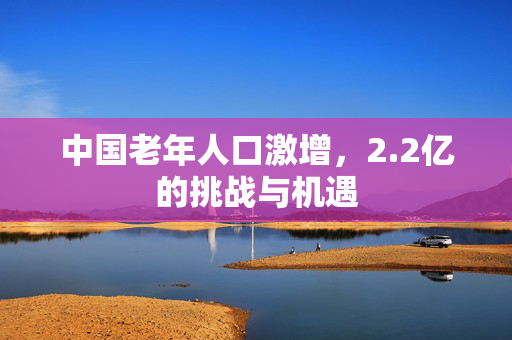 中国老年人口激增，2.2亿的挑战与机遇