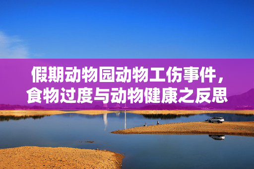 假期动物园动物工伤事件，食物过度与动物健康之反思