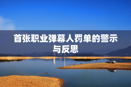 首张职业弹幕人罚单的警示与反思