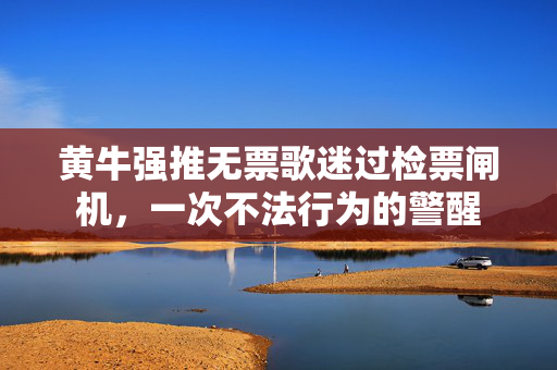 黄牛强推无票歌迷过检票闸机，一次不法行为的警醒