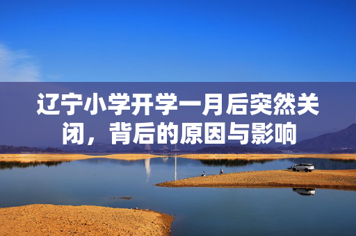 辽宁小学开学一月后突然关闭，背后的原因与影响