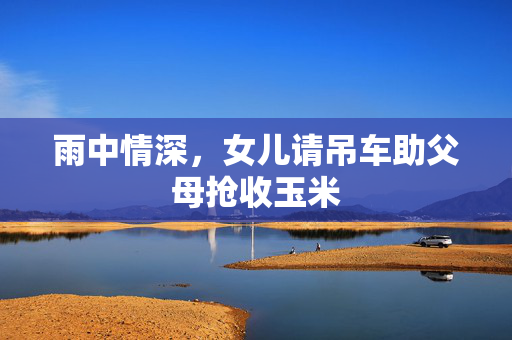 雨中情深，女儿请吊车助父母抢收玉米