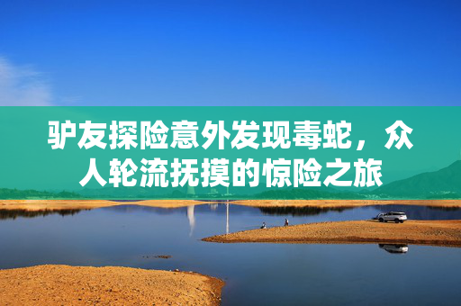 驴友探险意外发现毒蛇，众人轮流抚摸的惊险之旅
