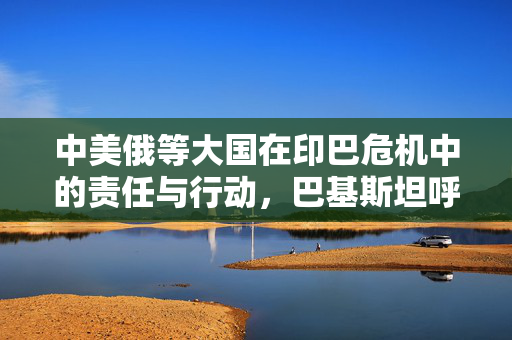 中美俄等大国在印巴危机中的责任与行动，巴基斯坦呼吁国际社会介入