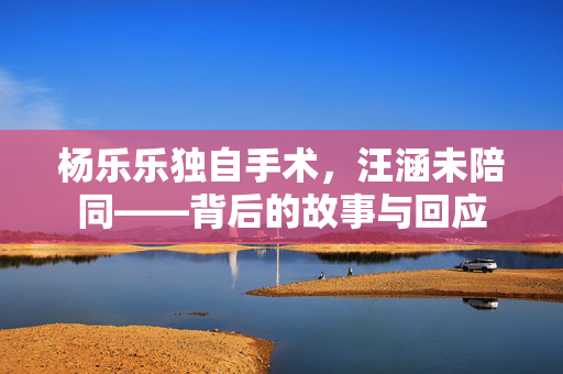 杨乐乐独自手术，汪涵未陪同——背后的故事与回应