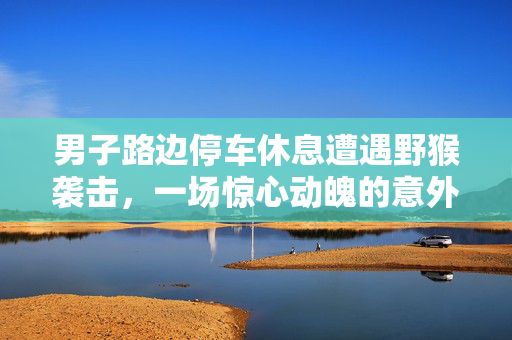 男子路边停车休息遭遇野猴袭击，一场惊心动魄的意外