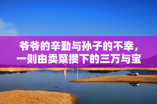 爷爷的辛勤与孙子的不幸，一则由卖菜攒下的三万与宝马车内失窃的悲剧