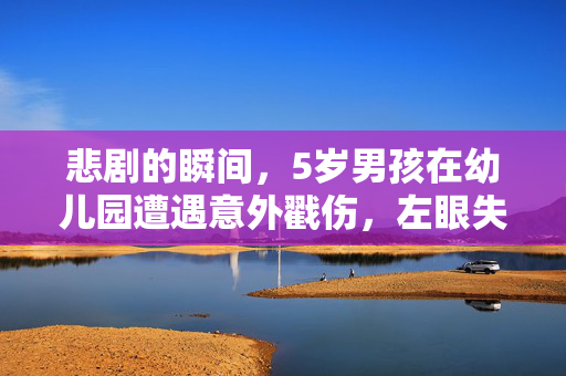 悲剧的瞬间，5岁男孩在幼儿园遭遇意外戳伤，左眼失明