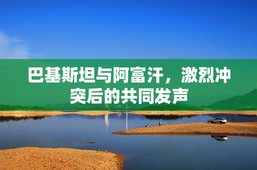 巴基斯坦与阿富汗，激烈冲突后的共同发声