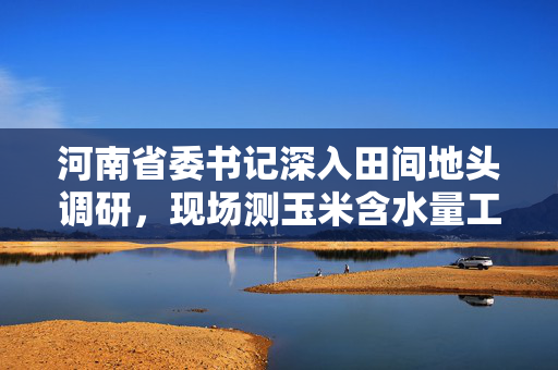 河南省委书记深入田间地头调研，现场测玉米含水量工作纪实