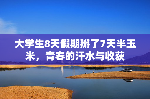 大学生8天假期掰了7天半玉米，青春的汗水与收获