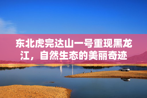 东北虎完达山一号重现黑龙江，自然生态的美丽奇迹