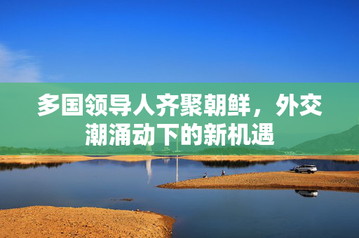 多国领导人齐聚朝鲜，外交潮涌动下的新机遇