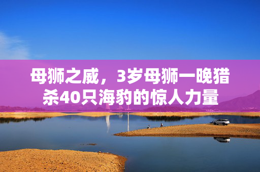 母狮之威，3岁母狮一晚猎杀40只海豹的惊人力量