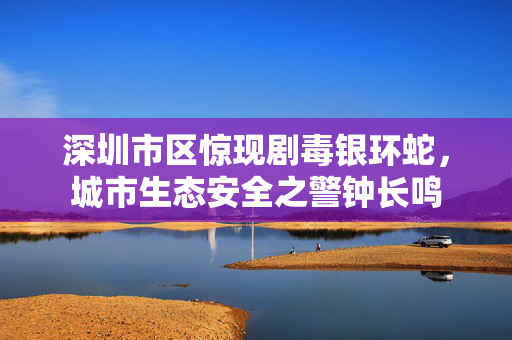 深圳市区惊现剧毒银环蛇，城市生态安全之警钟长鸣
