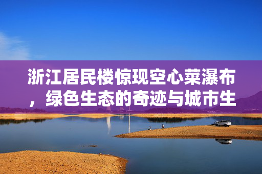 浙江居民楼惊现空心菜瀑布，绿色生态的奇迹与城市生活的独特风景
