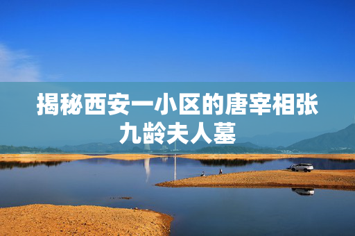 揭秘西安一小区的唐宰相张九龄夫人墓