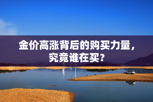 金价高涨背后的购买力量，究竟谁在买？
