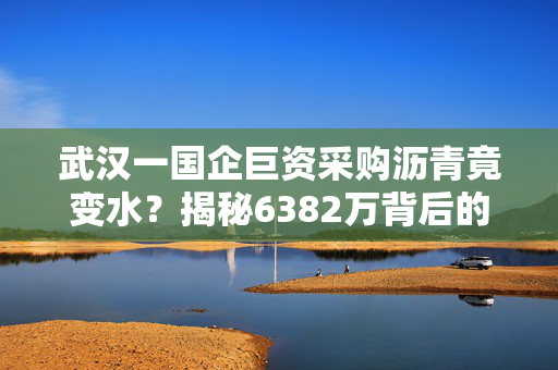 武汉一国企巨资采购沥青竟变水？揭秘6382万背后的故事