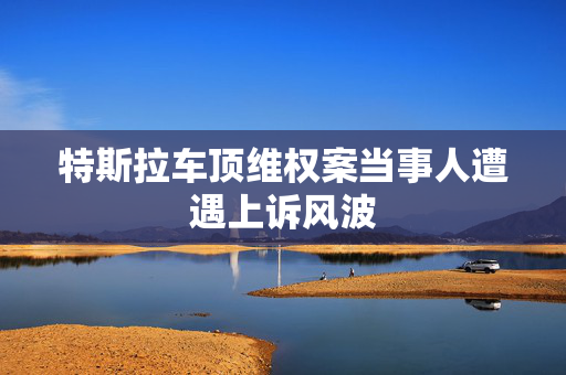 特斯拉车顶维权案当事人遭遇上诉风波