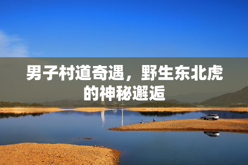 男子村道奇遇，野生东北虎的神秘邂逅