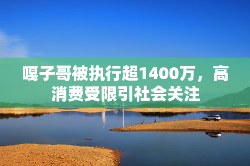 嘎子哥被执行超1400万，高消费受限引社会关注