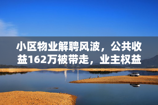 小区物业解聘风波，公共收益162万被带走，业主权益如何保障？