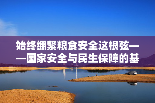 始终绷紧粮食安全这根弦——国家安全与民生保障的基石