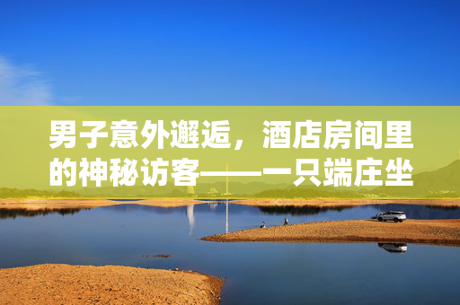 男子意外邂逅，酒店房间里的神秘访客——一只端庄坐床的猴子