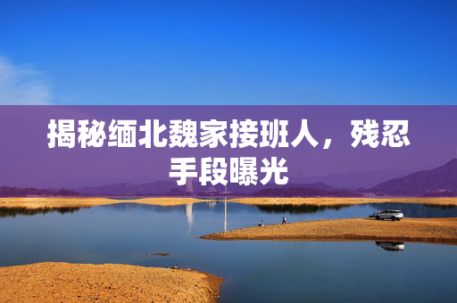 揭秘缅北魏家接班人，残忍手段曝光