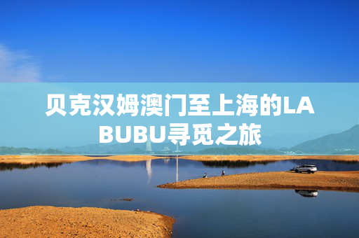 贝克汉姆澳门至上海的LABUBU寻觅之旅