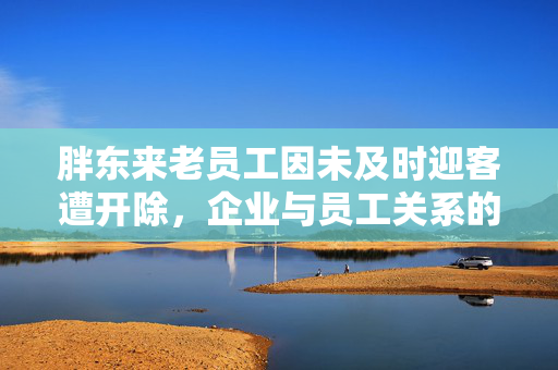 胖东来老员工因未及时迎客遭开除，企业与员工关系的思考