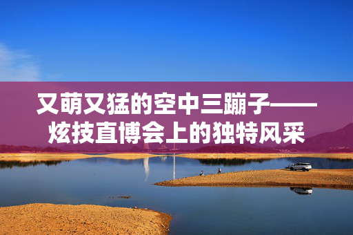 又萌又猛的空中三蹦子——炫技直博会上的独特风采