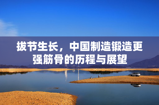 拔节生长，中国制造锻造更强筋骨的历程与展望
