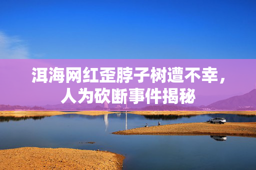 洱海网红歪脖子树遭不幸，人为砍断事件揭秘