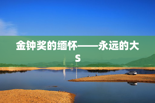 金钟奖的缅怀——永远的大S