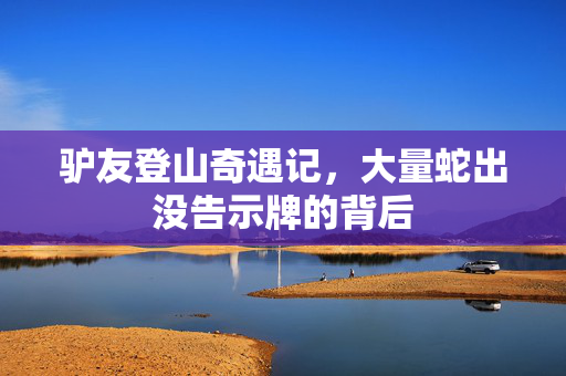 驴友登山奇遇记，大量蛇出没告示牌的背后
