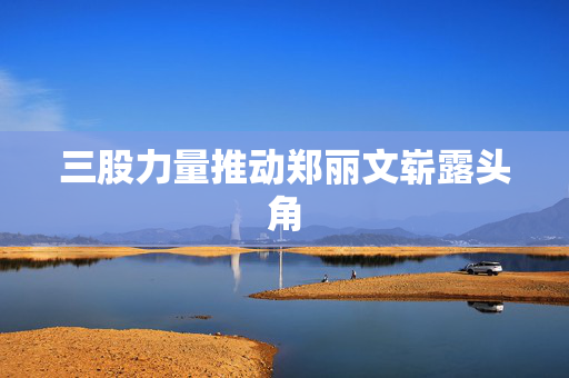 三股力量推动郑丽文崭露头角