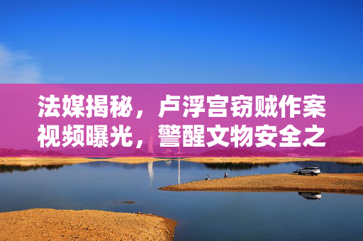 法媒揭秘，卢浮宫窃贼作案视频曝光，警醒文物安全之重