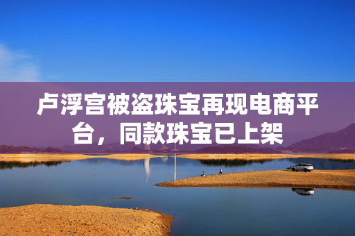 卢浮宫被盗珠宝再现电商平台，同款珠宝已上架
