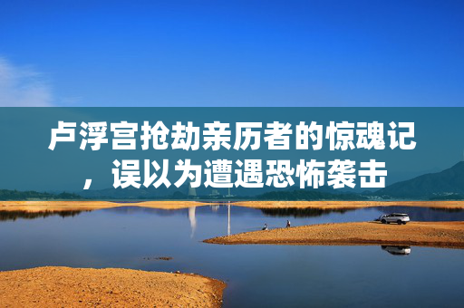 卢浮宫抢劫亲历者的惊魂记，误以为遭遇恐怖袭击