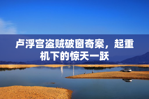 卢浮宫盗贼破窗奇案，起重机下的惊天一跃