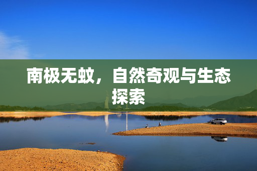 南极无蚊，自然奇观与生态探索