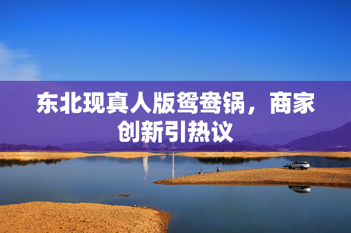东北现真人版鸳鸯锅，商家创新引热议