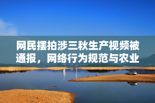 网民摆拍涉三秋生产视频被通报，网络行为规范与农业生产的双重审视