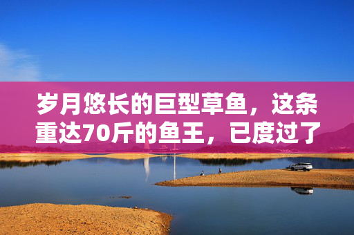 岁月悠长的巨型草鱼，这条重达70斤的鱼王，已度过了55个春秋