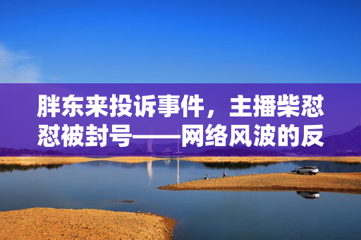 胖东来投诉事件，主播柴怼怼被封号——网络风波的反思与启示