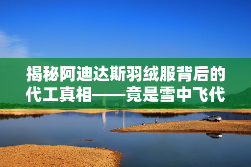 揭秘阿迪达斯羽绒服背后的代工真相——竟是雪中飞代工的