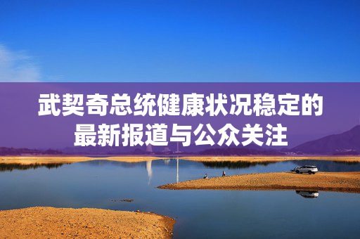 武契奇总统健康状况稳定的最新报道与公众关注